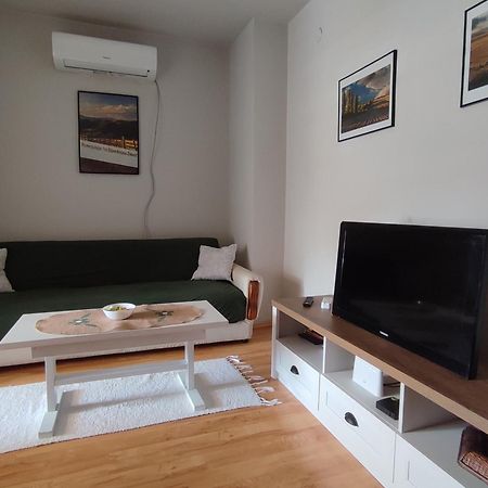Vila Zora apartman Banja Koviljaca Bagian luar foto