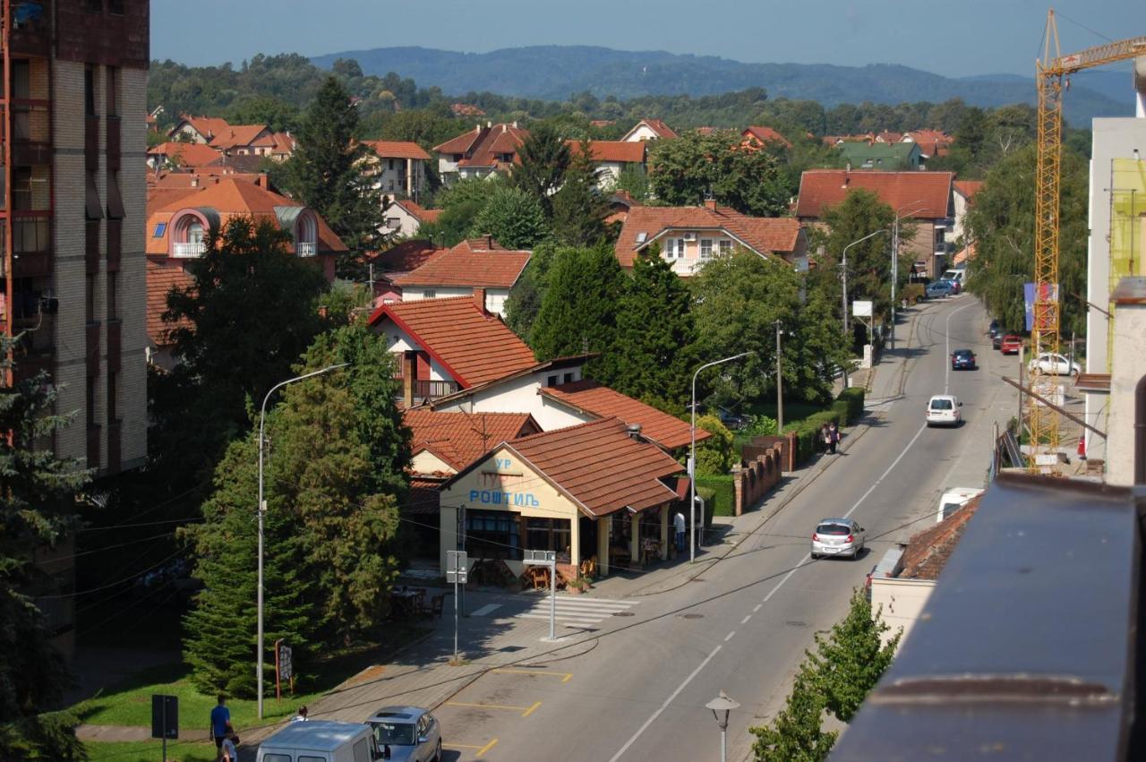 Vila Zora apartman Banja Koviljaca Bagian luar foto