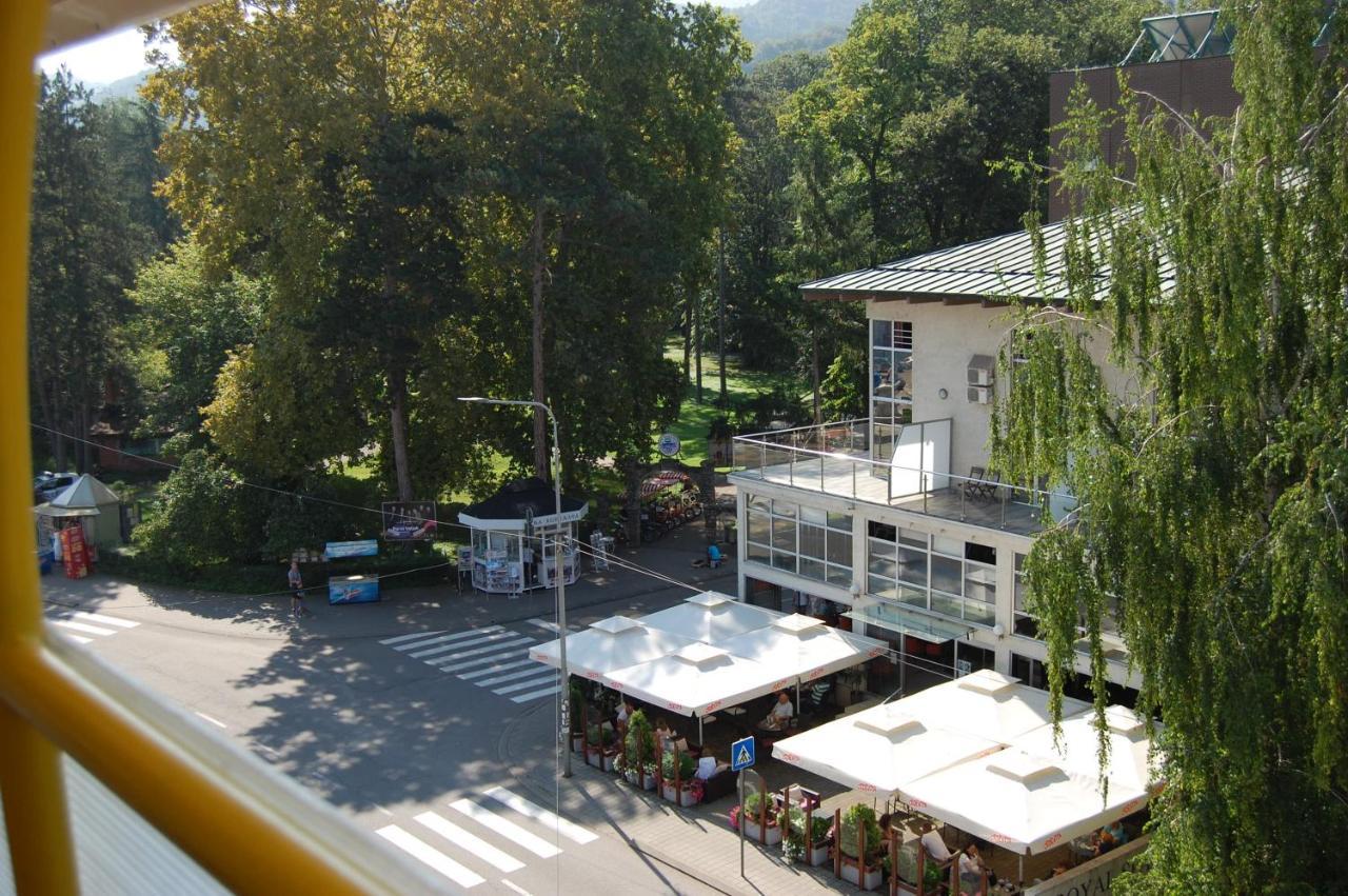 Vila Zora apartman Banja Koviljaca Bagian luar foto