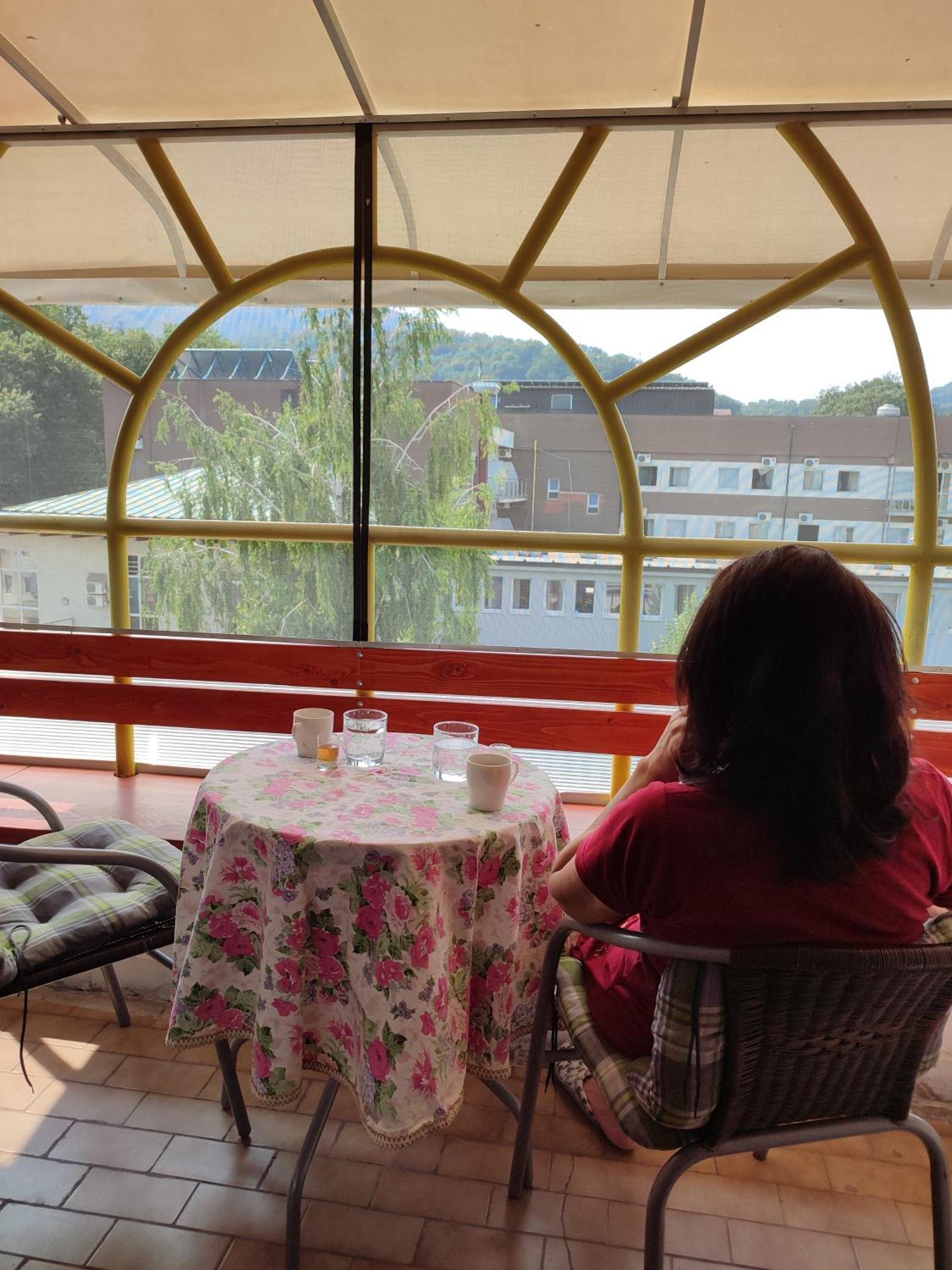 Vila Zora apartman Banja Koviljaca Bagian luar foto